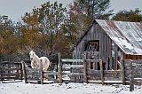 Rustic Horse Shed_06694